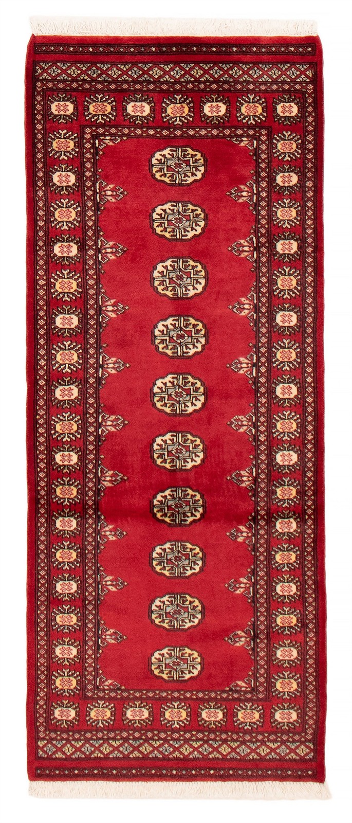 Traditional Hand-knotted Wool Oriental Carpet 2’8″ x 6’8″ Area Rug