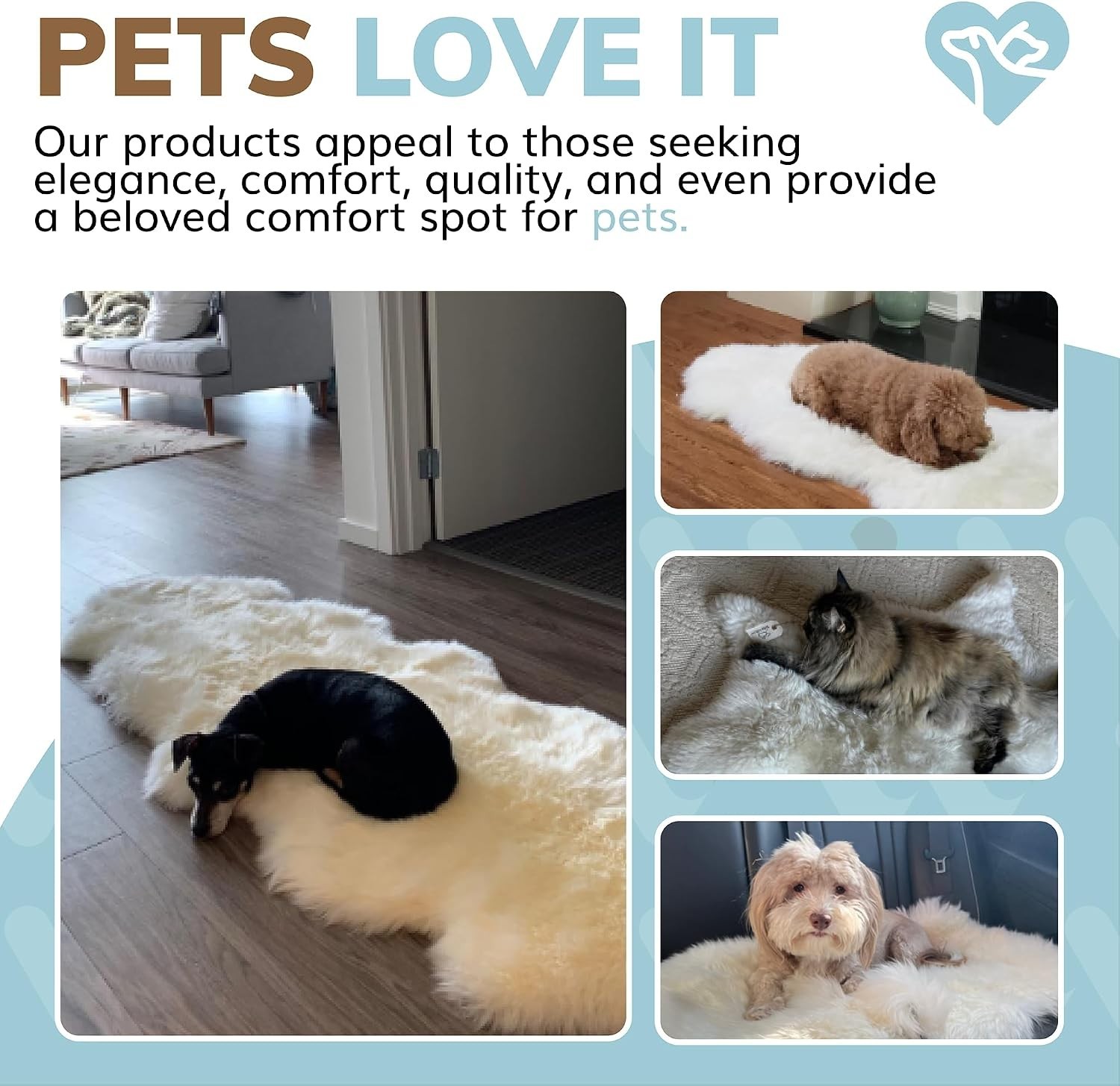 Genuine New Zealand Sheepskin Area Rug 2ft x 3ft – Luxurious Ivory Fluffy Wool