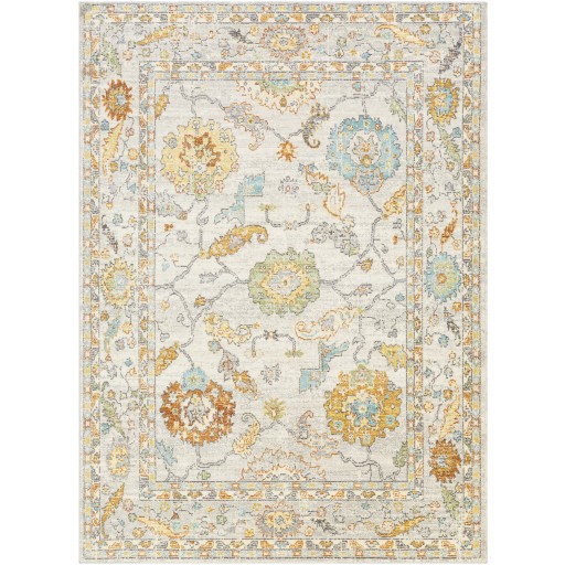 Surya Traditional Turkish Area Rug Beige Machine Woven NEW BDM-2311