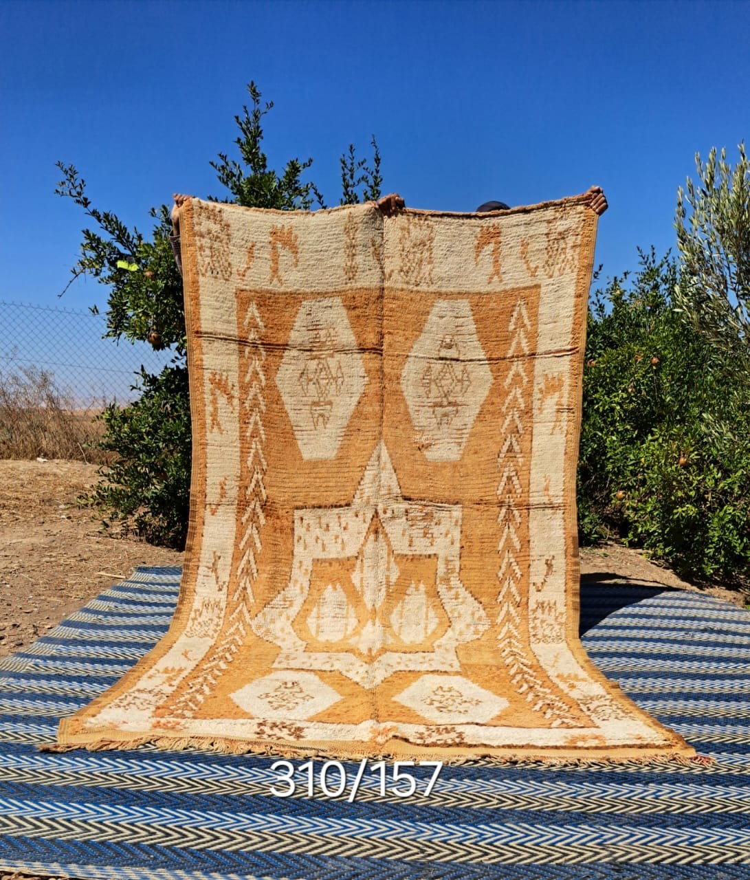 Moroccan Berber tribal rug – beautiful vintage handwoven wool rug
