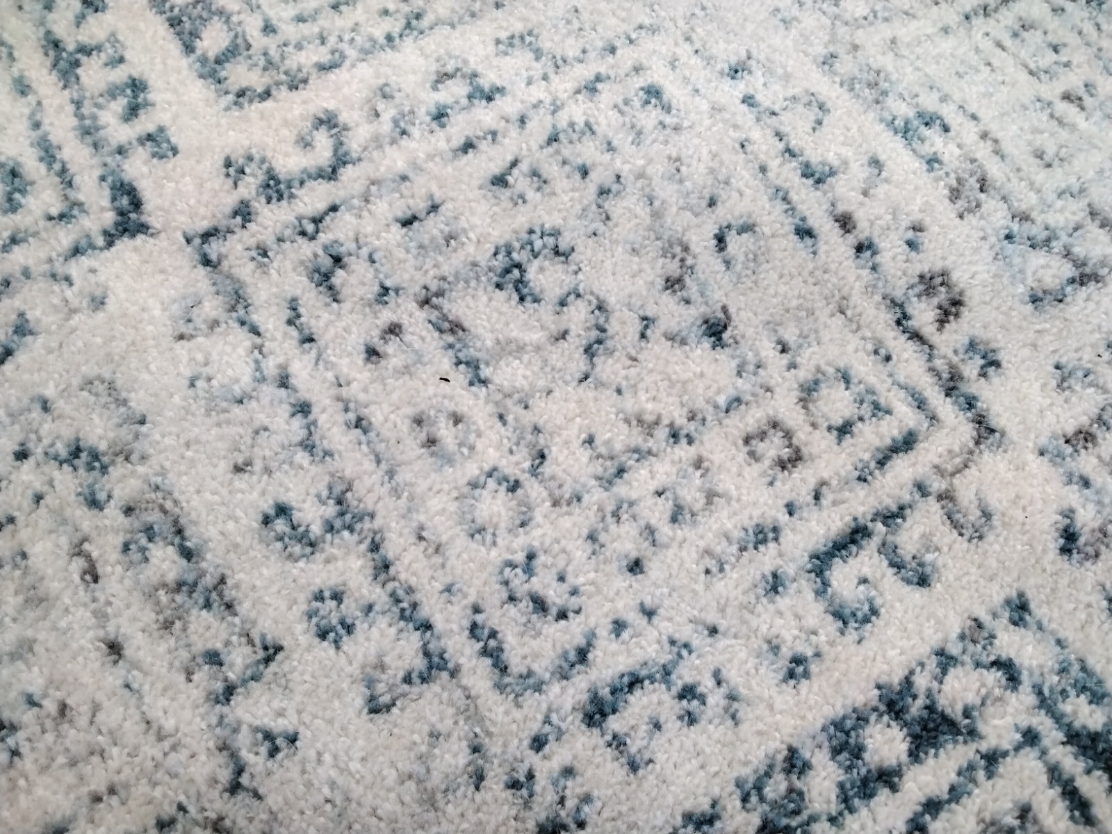 IVORY / TURQUOISE 6′-7″ X 6′-7″ Damaged Rug, Reduced Price 1172758185 TUL264B-7R