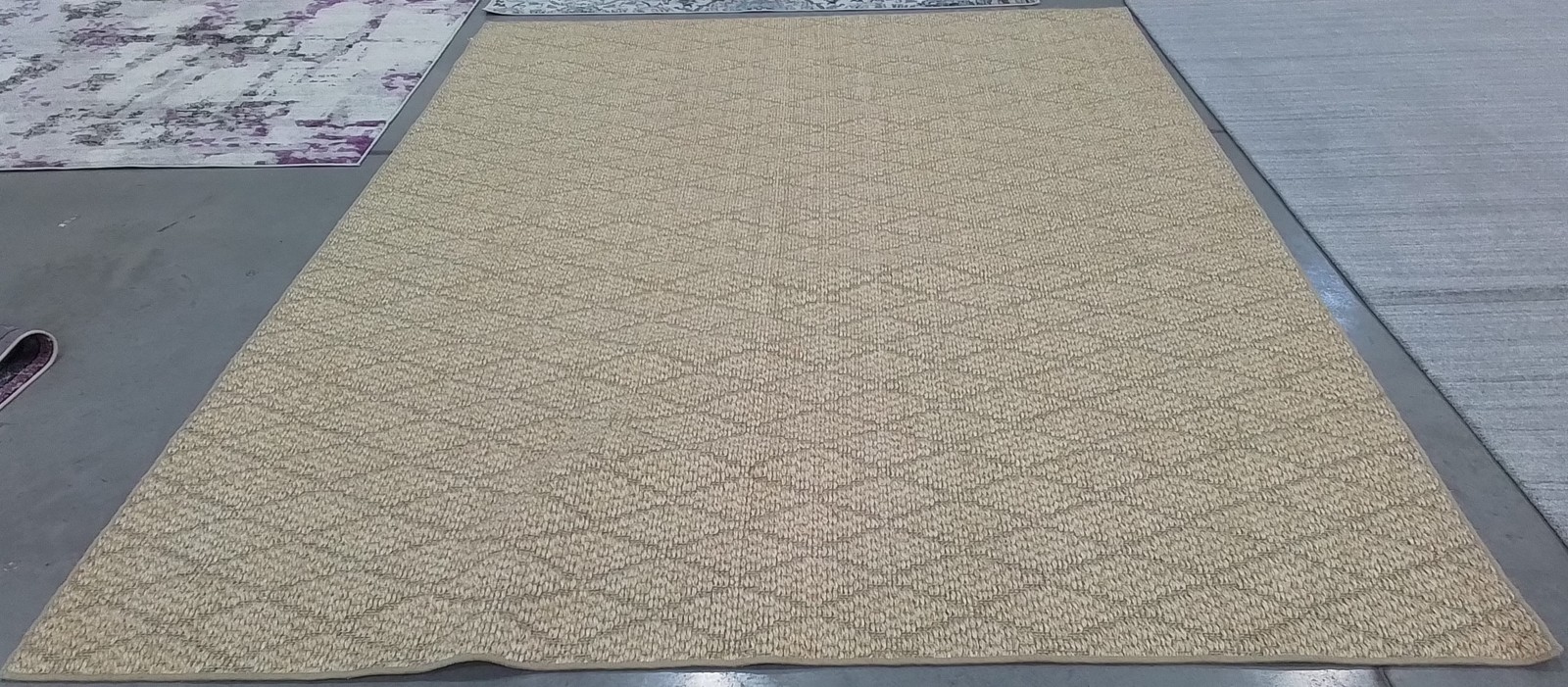 BEIGE / BEIGE 9′-0″ x 12′-0″ Back Stain Rug, Reduced Price 1172802288 PAB361A-9