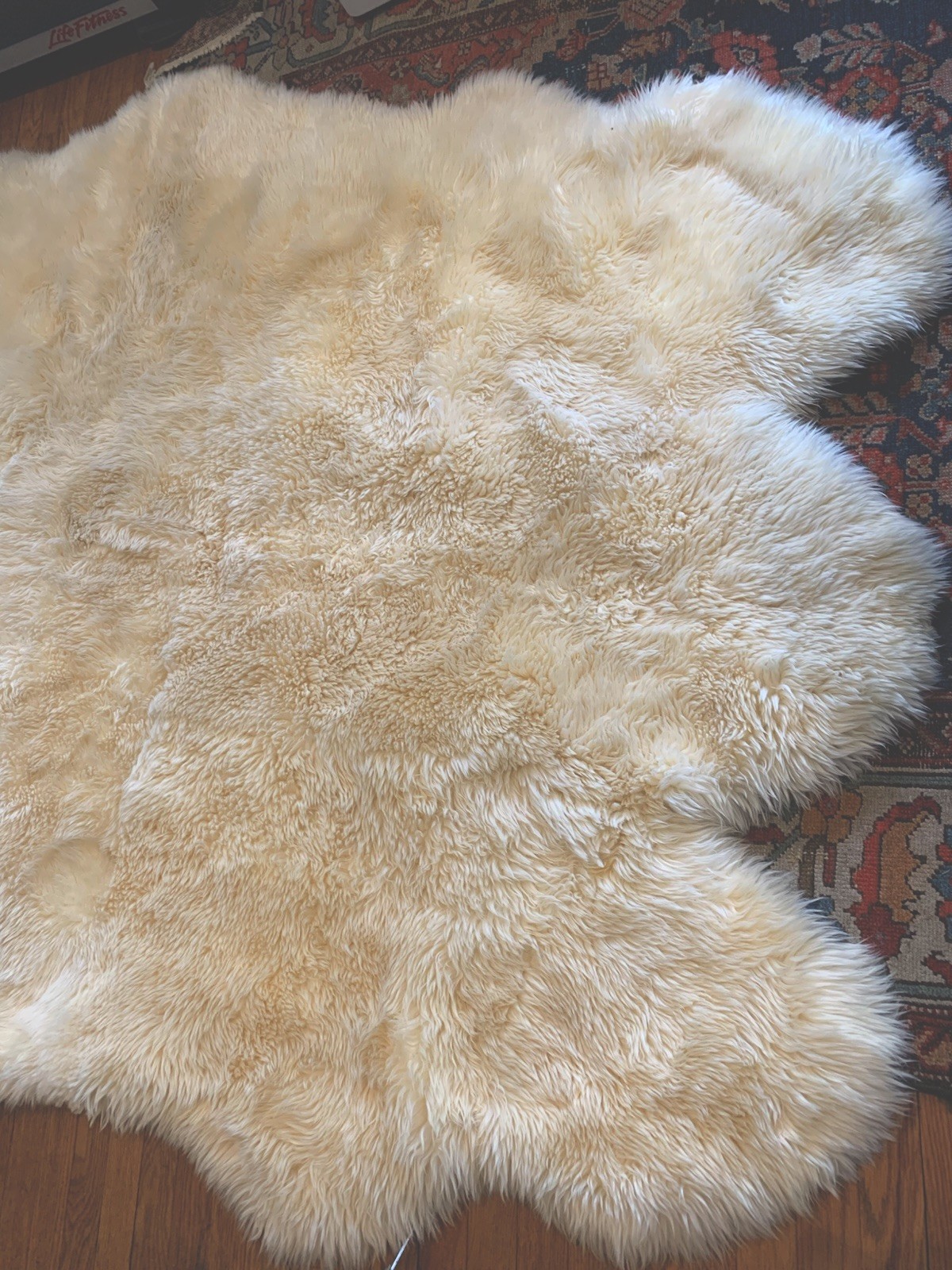 SAFAVIEH Genuine Natural Luxurious Soft Sheepskin Area Rug White 5.38 x 7.15’