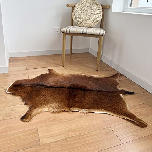 Deer Hide Rug 2.3×1.8 Ft Real Deerskin Area Rug Hunting Decor Fawn Mat
