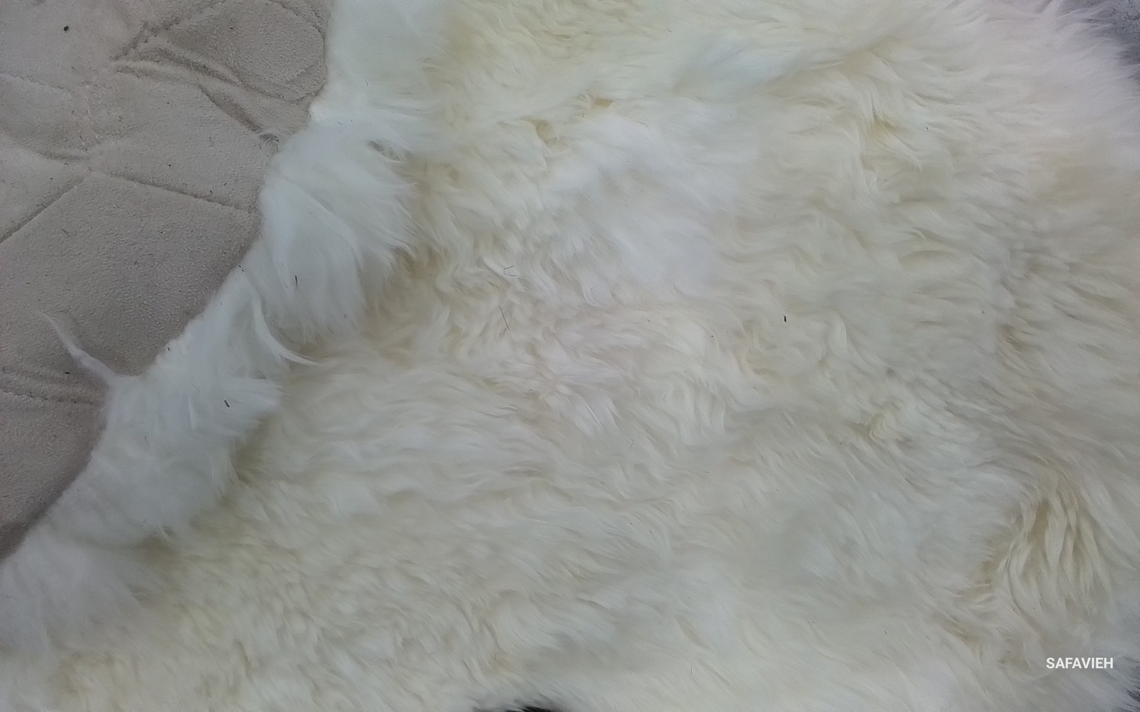 NATURAL / WHITE 8′-0″ x 10′-0″ Back Stain Rug Reduced Price 1172803700 SHS211A-8
