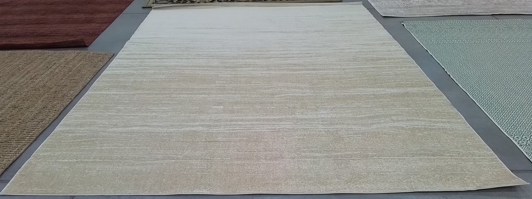 CHAMPAG/CREAM 10′-0″ x 14′-0″ Back Stain Rug Reduced Price 1172806112 ADR113W-10