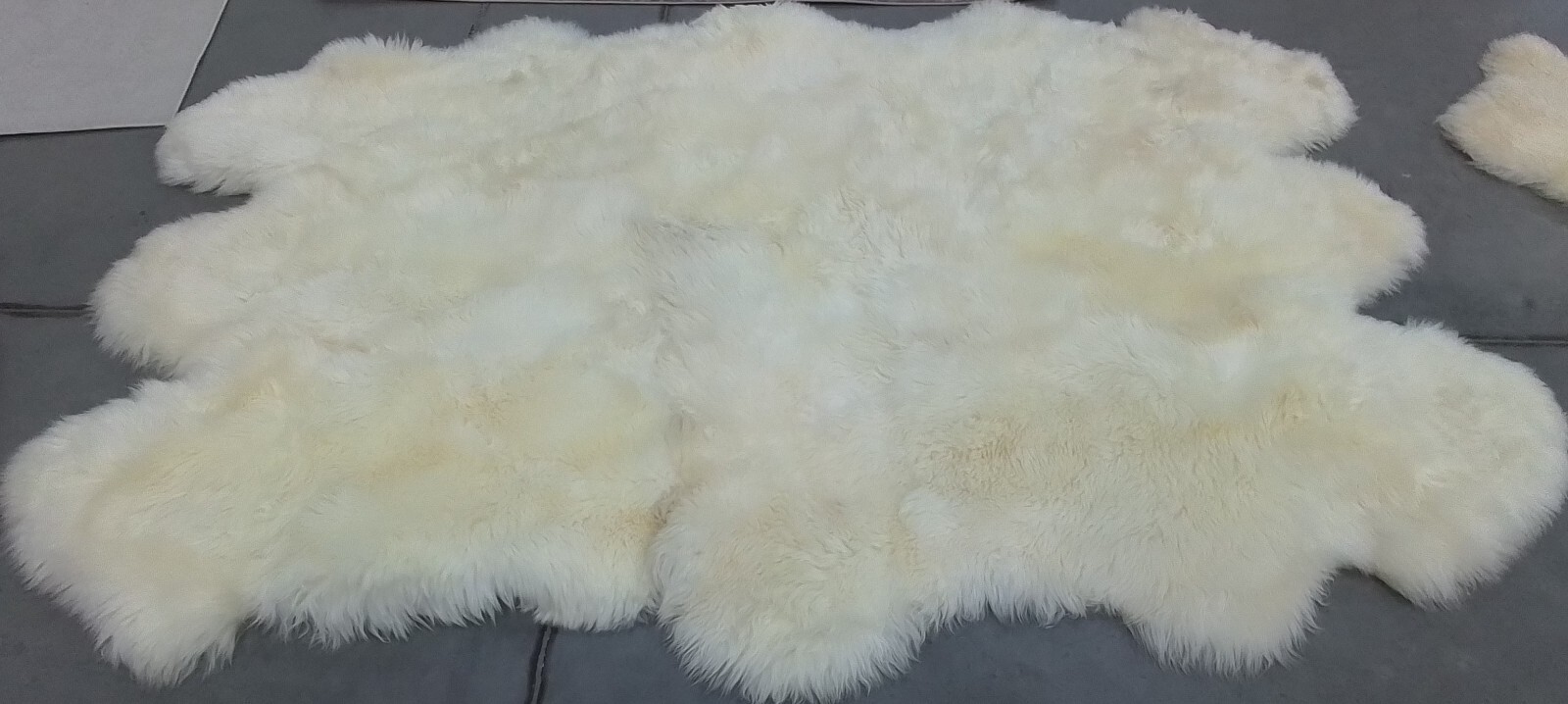 WHITE 5′-5″ x 7′-7″ Back Stain Rug, Reduced Price 1172771181 SHS121A-5