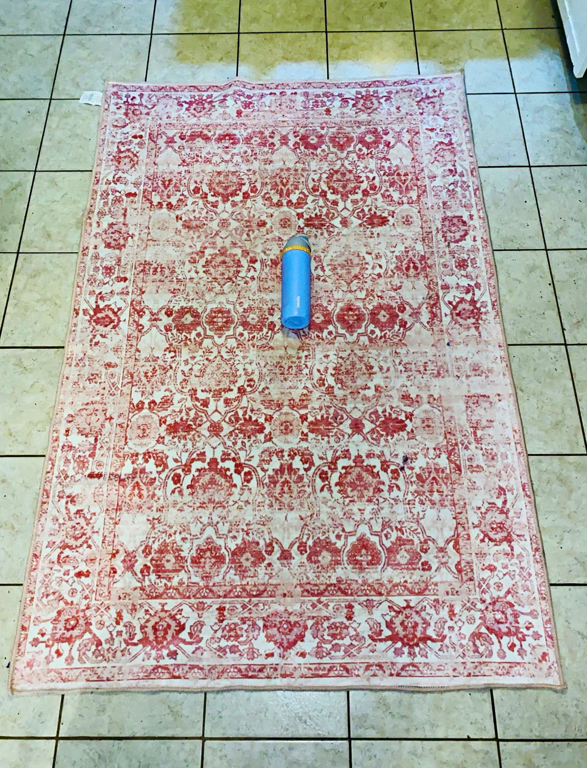 Beige and Pink All-Over Pattern Rectangle Area Rug, Adult Home Decor