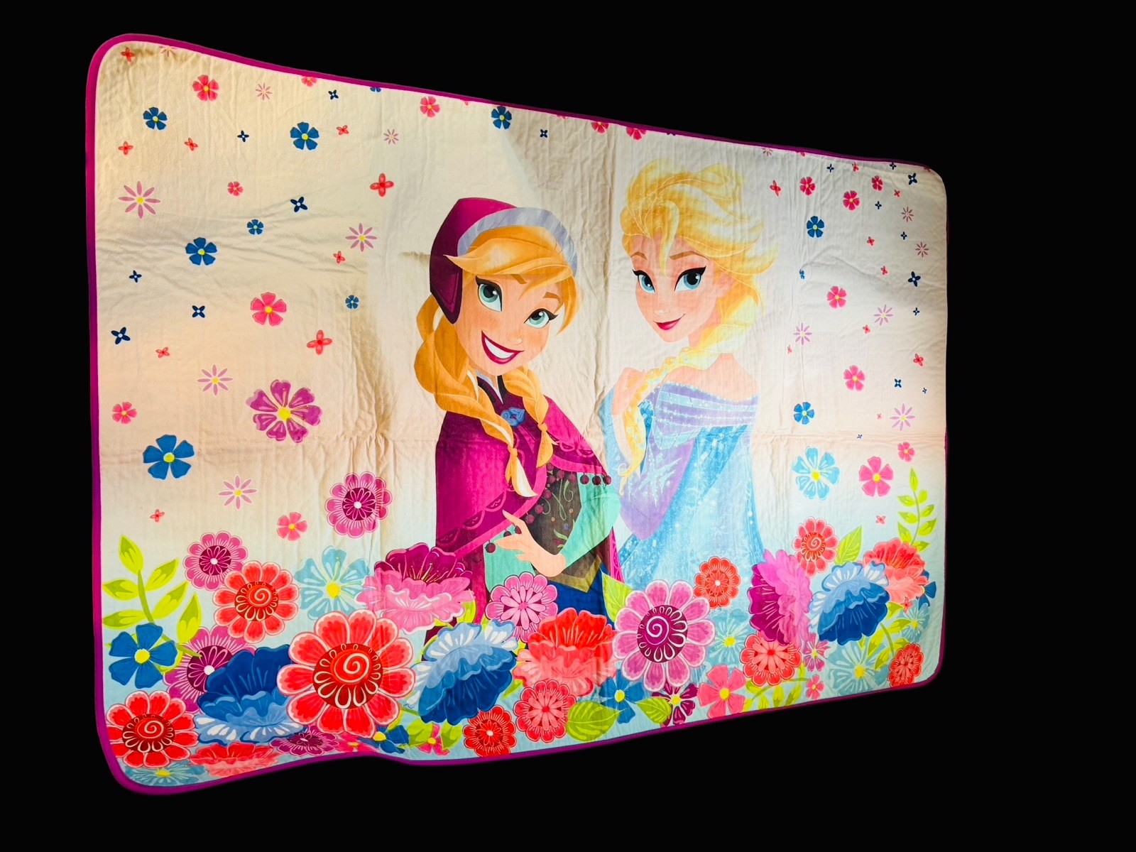 NWT Disney Frozen Elsa & Anna Area Accent Heat Transfer Rug 40x 56