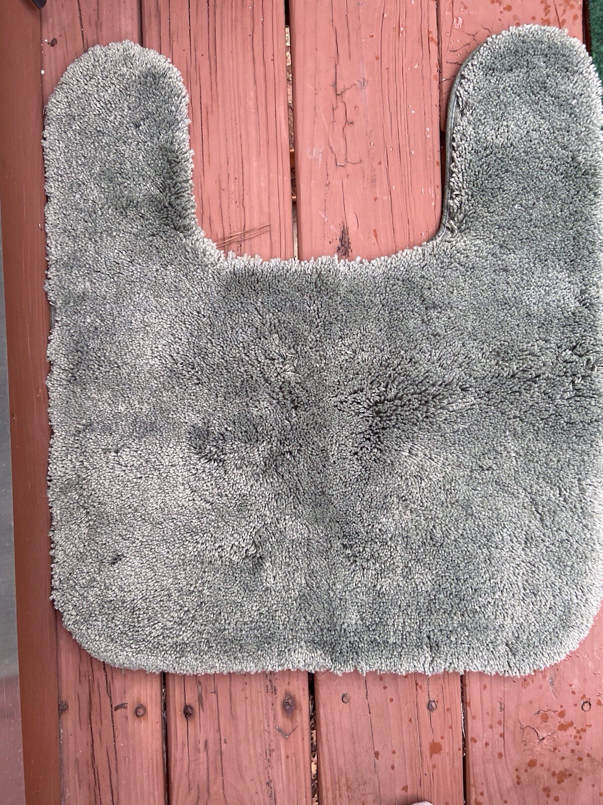Garland Count our Rug , Sage Green