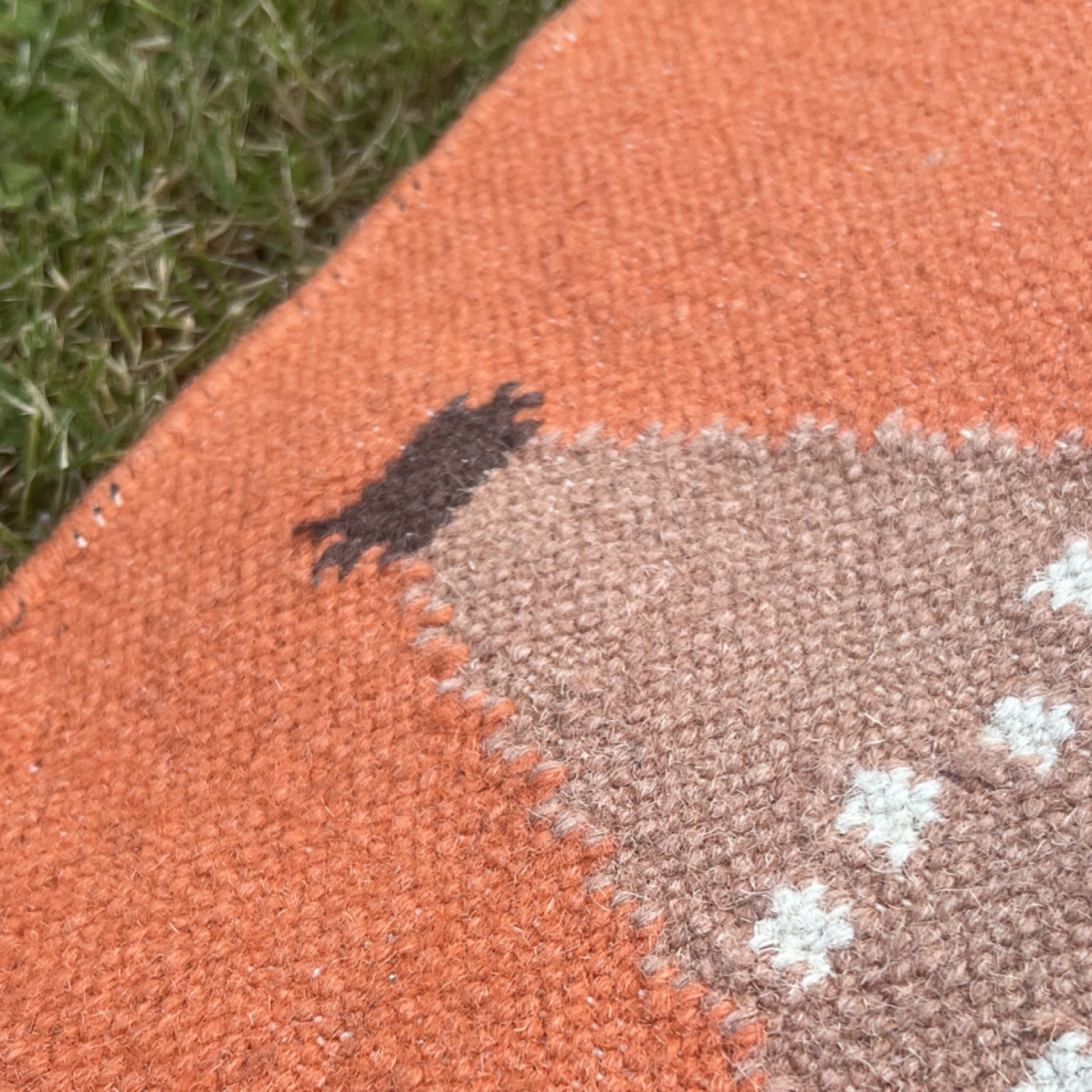 COLD PICNIC Wool Flat Weave FAWN Rug, Rectangle 25x 35 in, Orange