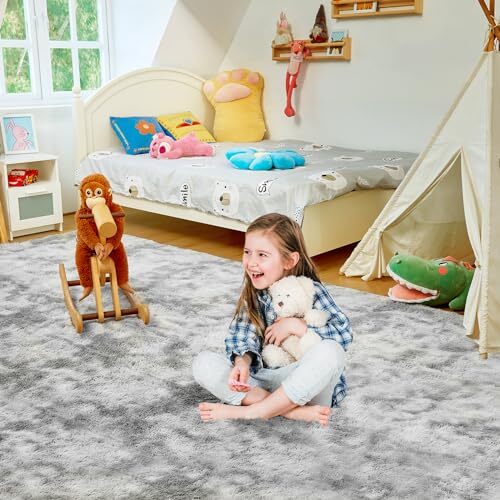 Ultra Soft Rug for Living Room, 4X6 Fluffy Shag Area Assorted Colors , Sizes